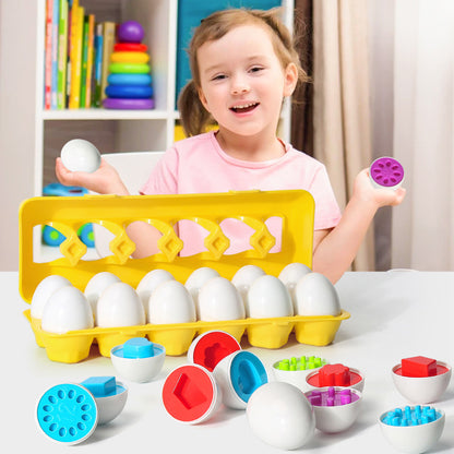 Montessori Smart Egg Shape Sorters