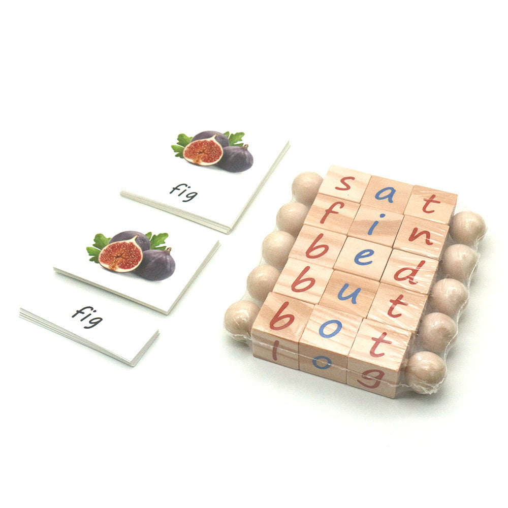 Montessori Phonetic Reading Blocks